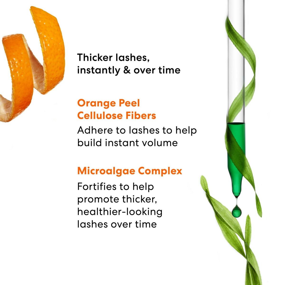 V4H77C28544FEB44A078DC9E44FA167DF30R6242039P4