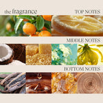 V2H33843E66C8A4729FEDE0640FC2E5B0FFR7472897P7