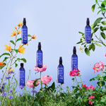 V4H19E1845824C7FD37287A8C5BA78F85F3R6241722P6