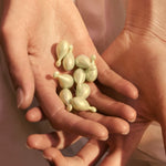 V4H36C8D344BD4E10AFD3AA726B1D16AD09R4413002P4